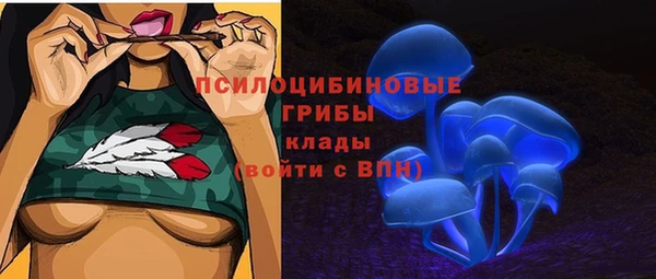 ПСИЛОЦИБИНОВЫЕ ГРИБЫ Верея