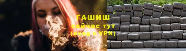 ПСИЛОЦИБИНОВЫЕ ГРИБЫ Верея