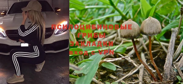 ПСИЛОЦИБИНОВЫЕ ГРИБЫ Верея