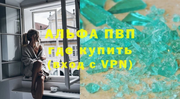 ПСИЛОЦИБИНОВЫЕ ГРИБЫ Верея