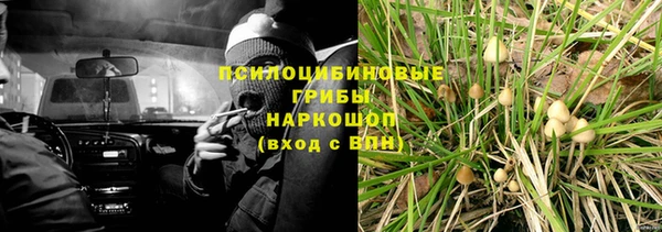твердый Верхний Тагил