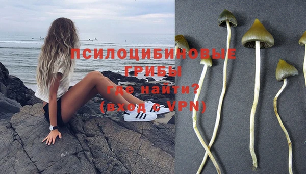 твердый Верхний Тагил