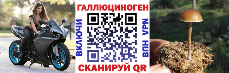 Галлюциногенные грибы мухоморы Ялта